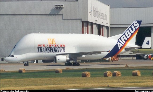 Vue d'un A300B4-608ST Beluga numéro 4 (photo : Axel Juengerich)