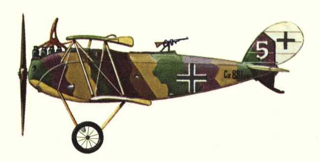 Vue d'un biplan Halberstadt C.V (origine : Bombers 1914-1919 - Kenneth Munson)