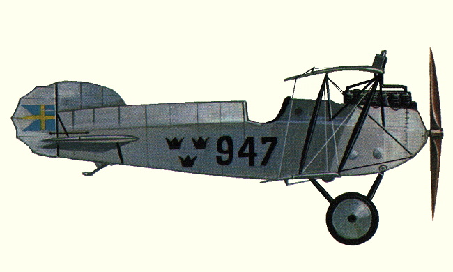 Vue d'un chasseur Phönix D.III (origine : Fighters 1914-1919 - Kenneth Munson)