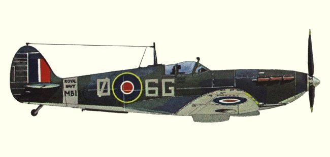 Vue d'un Seafire F IIC (origine : Fighters 1939-1945 - Kenneth Munson)