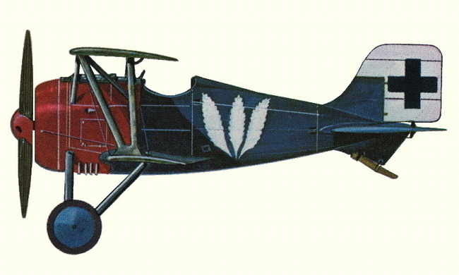 Vue d'un chasseur biplan Siemens-Schuckert D.III (origine : Fighters 1914-1919 - Kenneth Munson)